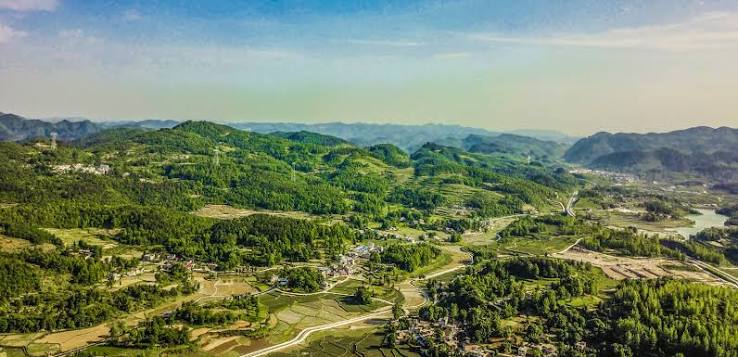 Qianbei Afforestation Project